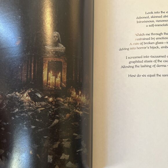 Poetry and Prose The Autopsy of the Obfuscated - Picture 4 of 6